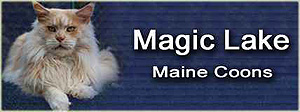 Magic Lake Cattery (Germany)　Maine coon